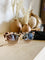Diff Kaia Sunglasses in Cream Tortoise & Brown